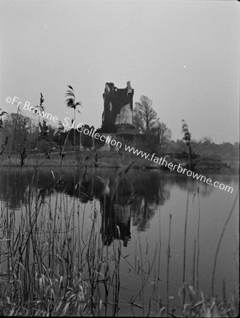 ROSS CASTLE STUDIES WITH REEDS